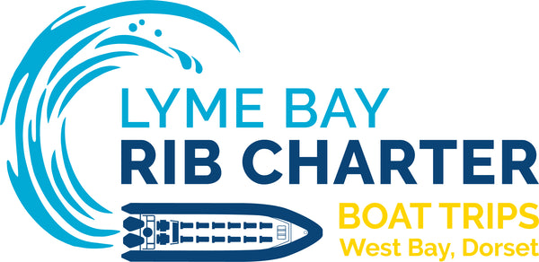 Lyme Bay RIB Charter